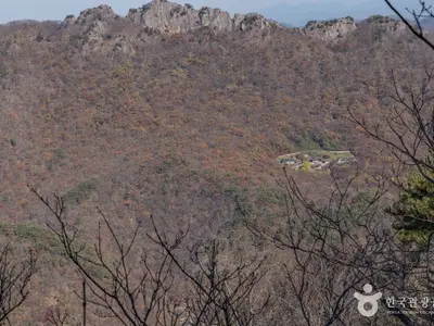 내장산 대표 사진