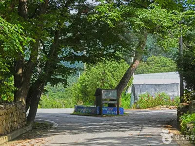 소백산 대표 사진